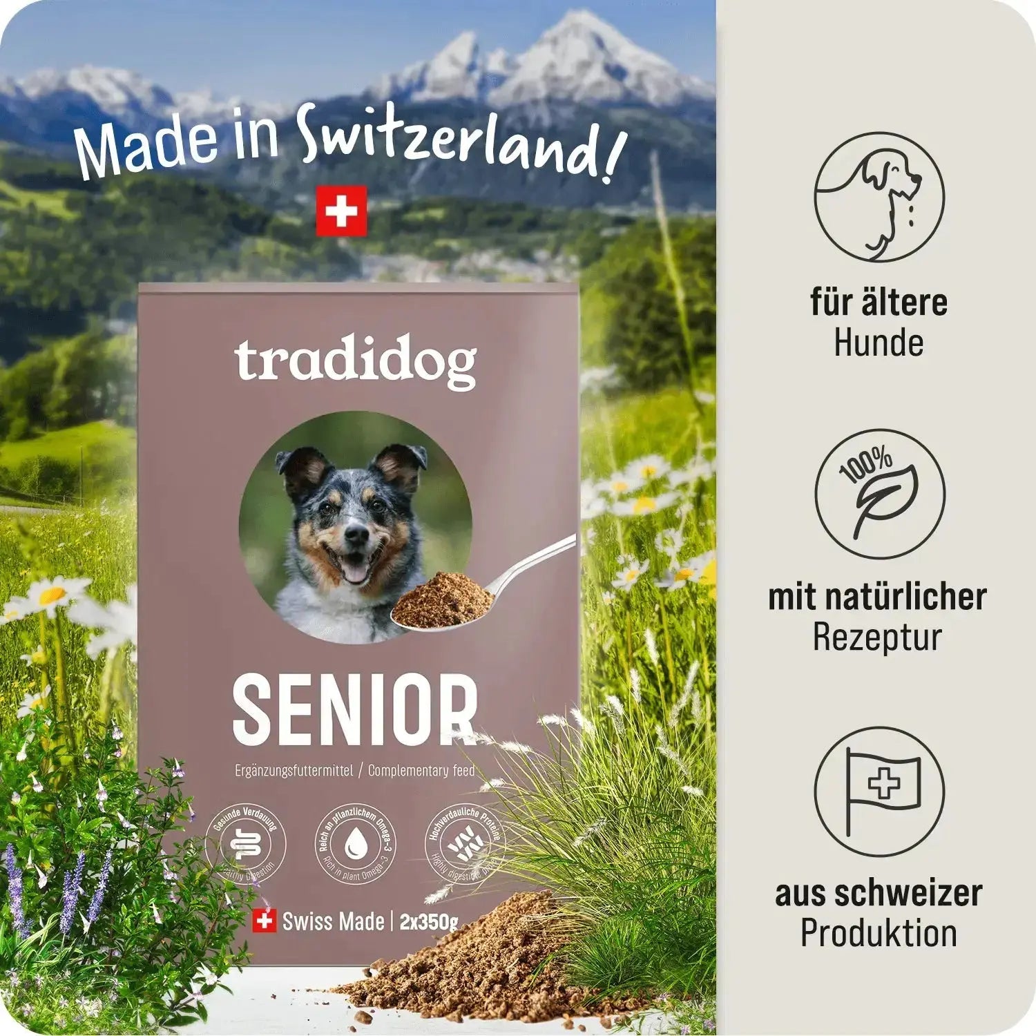 Set iniziale - SENIOR