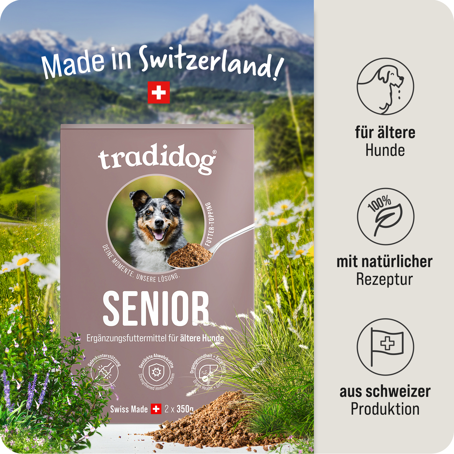 Starter Set - SENIOR